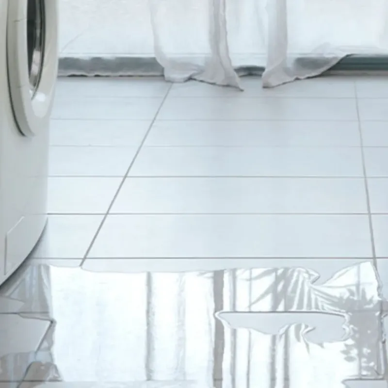 Appliance Leak Cleanup in Calhoun County, WV
