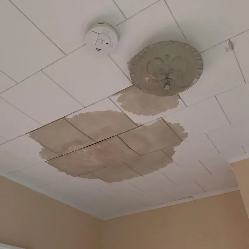 Ceiling Water Damage Repair in Calhoun County, WV