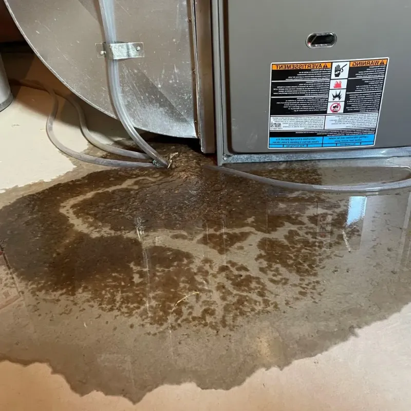 Pipe Burst and Leak Restoration in Calhoun County, WV