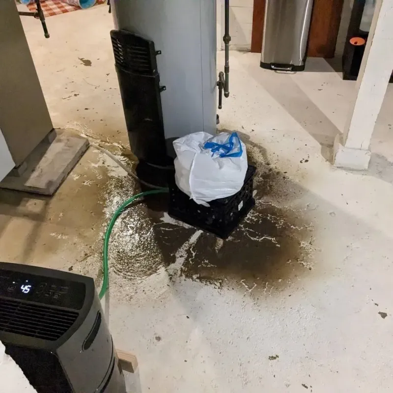 Sewage Backup Cleanup Service in Calhoun County, WV